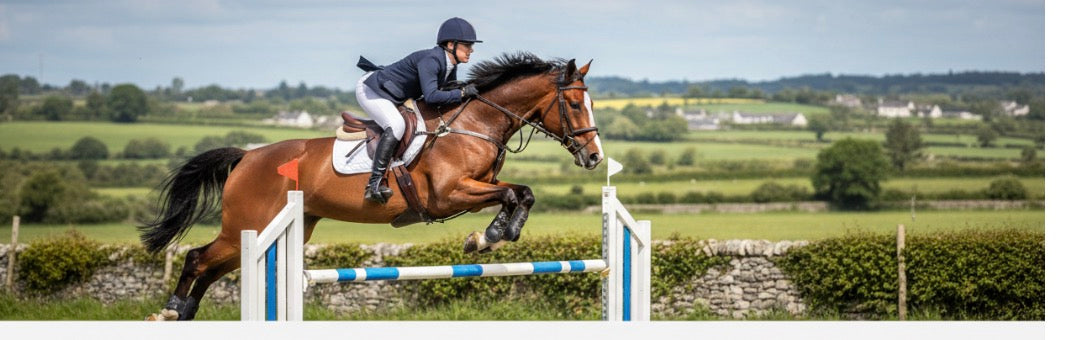 Horse Supplements