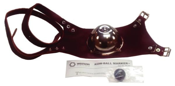 Chin Ball Harness