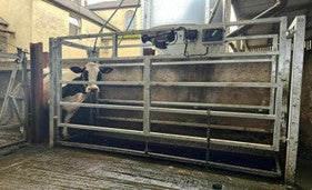 DP Auto Footbath - Whyte Agri