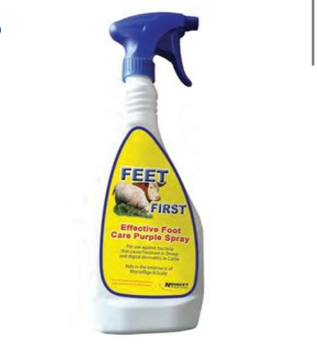 Feet First Sheep & Cattle Footcare
