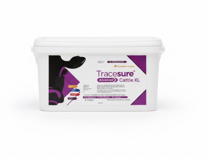 Tracesure Advanced Cattle XL Bolus with copper Bolus 20s