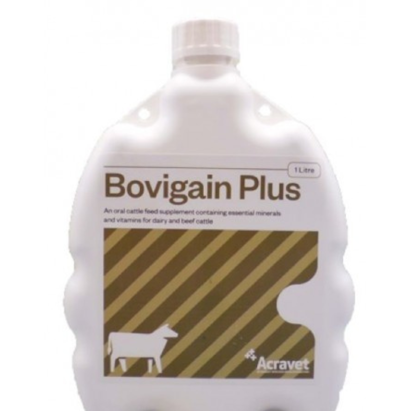 Bovigain plus