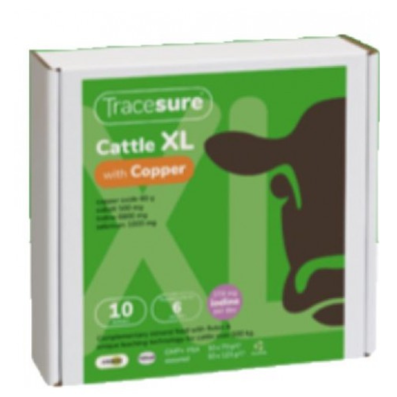 Tracesure Cattle XL Bolus With Copper