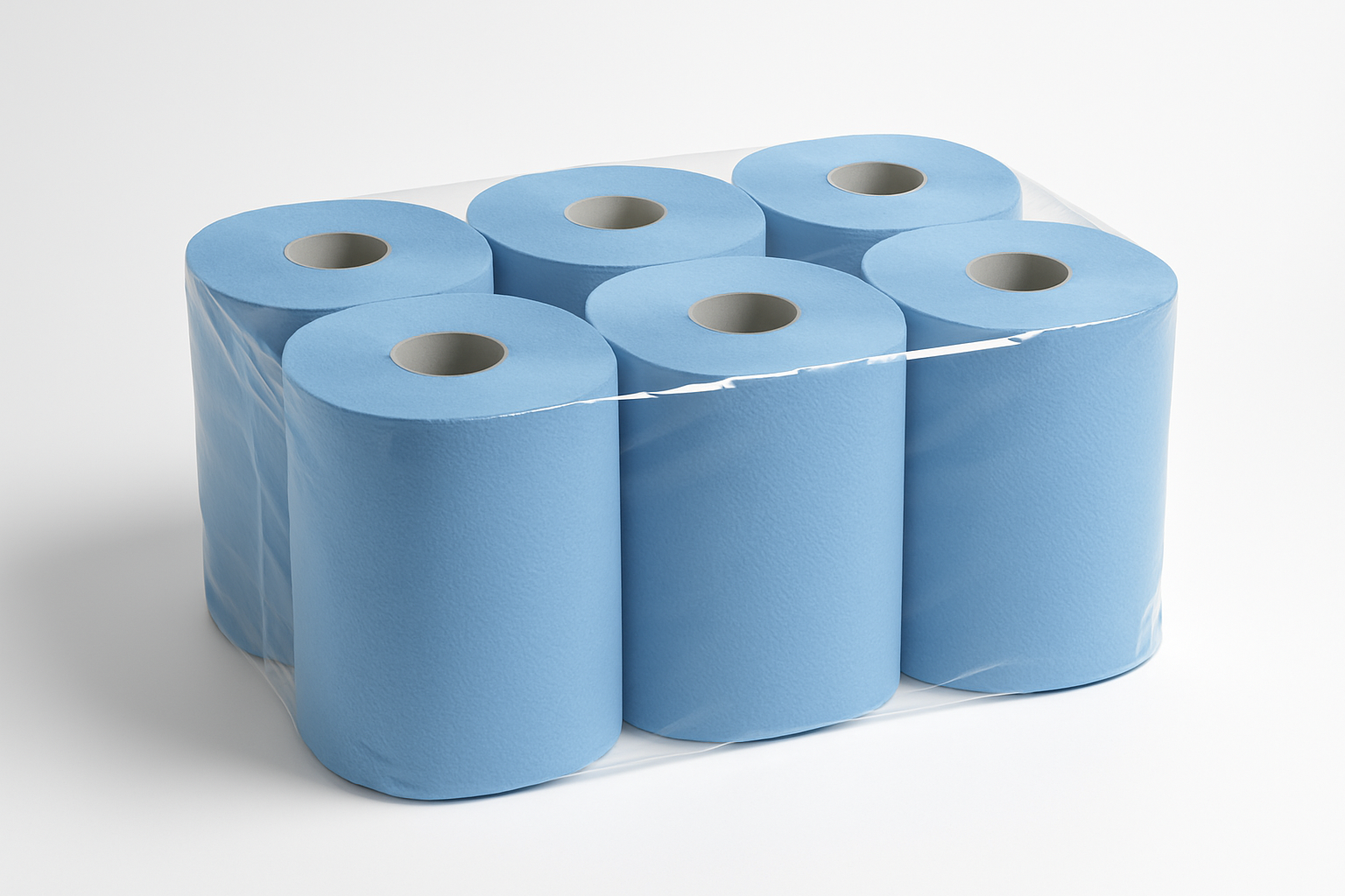 Paper Roll Blue 2 Ply (6 rolls)