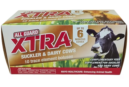 All guard Xtra suckler and dairy cows, 10 boluses