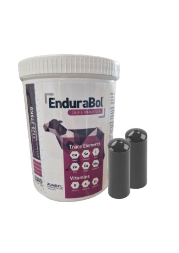 Endurabol Calf & Young Stock Bolus 40's (20 Calves)