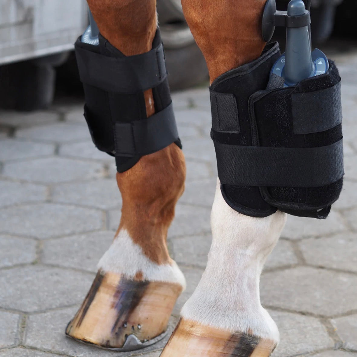 Equissage Pulse Leg Boot